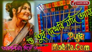 tui dekhbi jodi aay dj bm remix--Dj Nil Remix 2024 purulia song